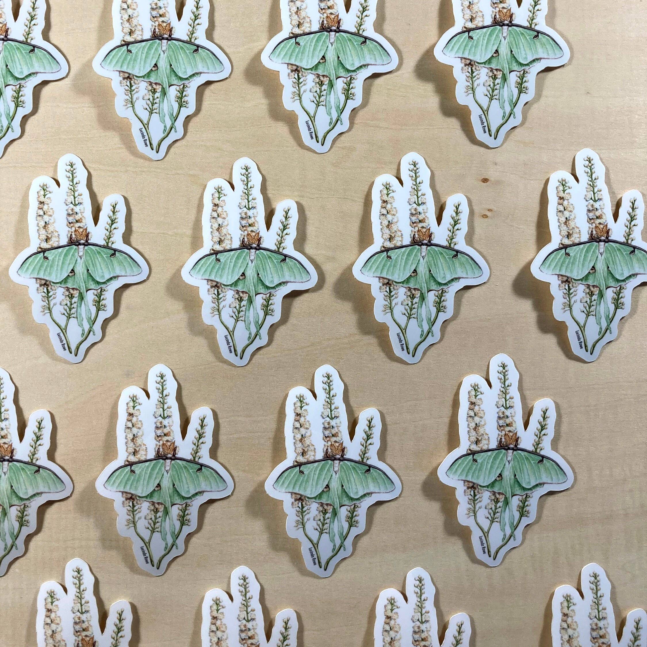 Lucinda Rowe Art - Wholesale Sticker - Sticker - Luna Moth On Black Cohosh1