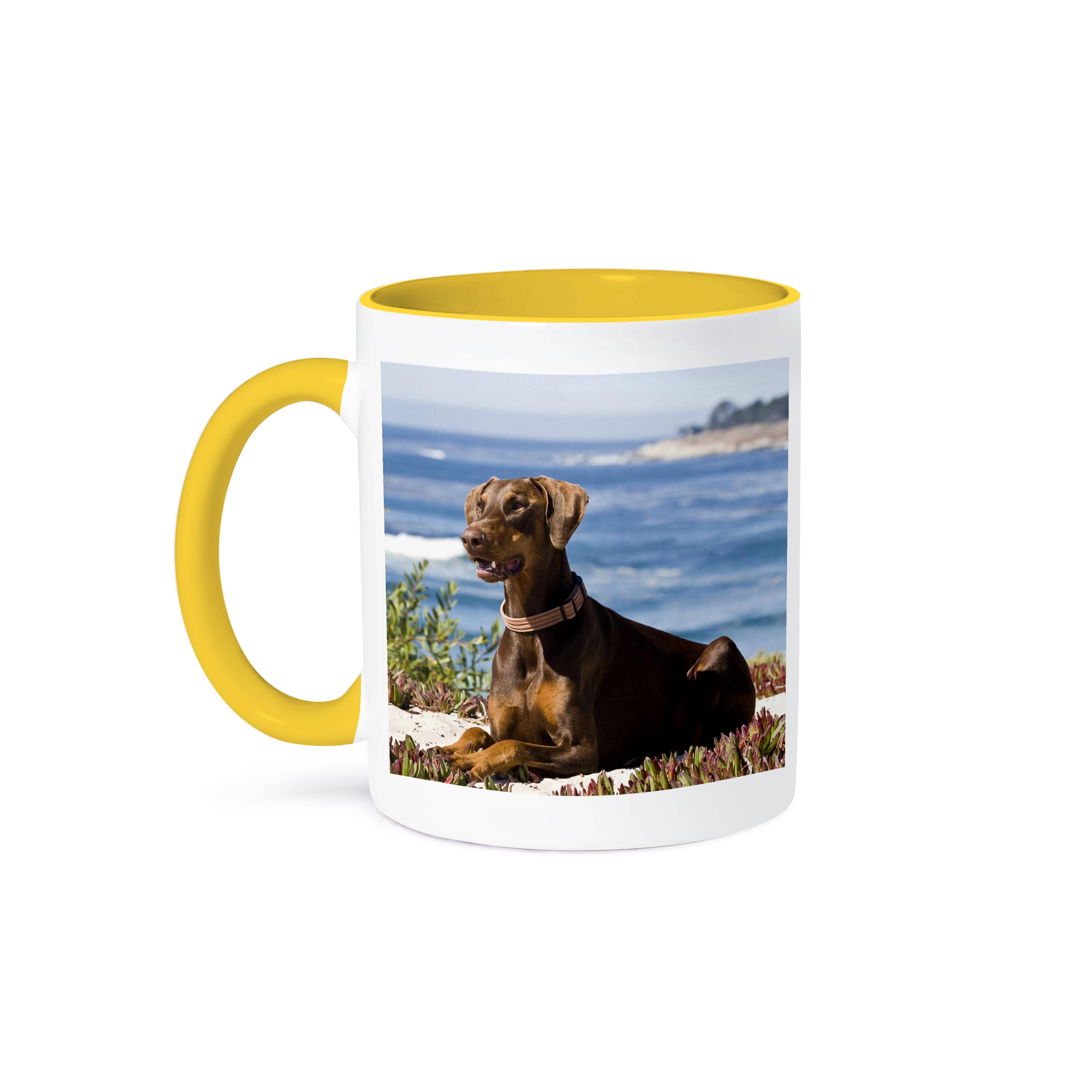 3dRose – Engroshandel Kaffekrus – 3dRose, En Doberman Pinscher hund - US05 ZMU0368 - Zandria Muench Beraldo, Krus0