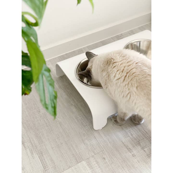 Labbvenn - Wholesale Pet Bowl - Cat/Dog - Rico Ffeder17