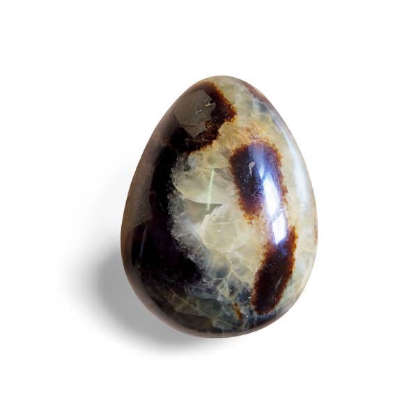 Ovo Em Jaspe Septária#591 por atacado de WLM