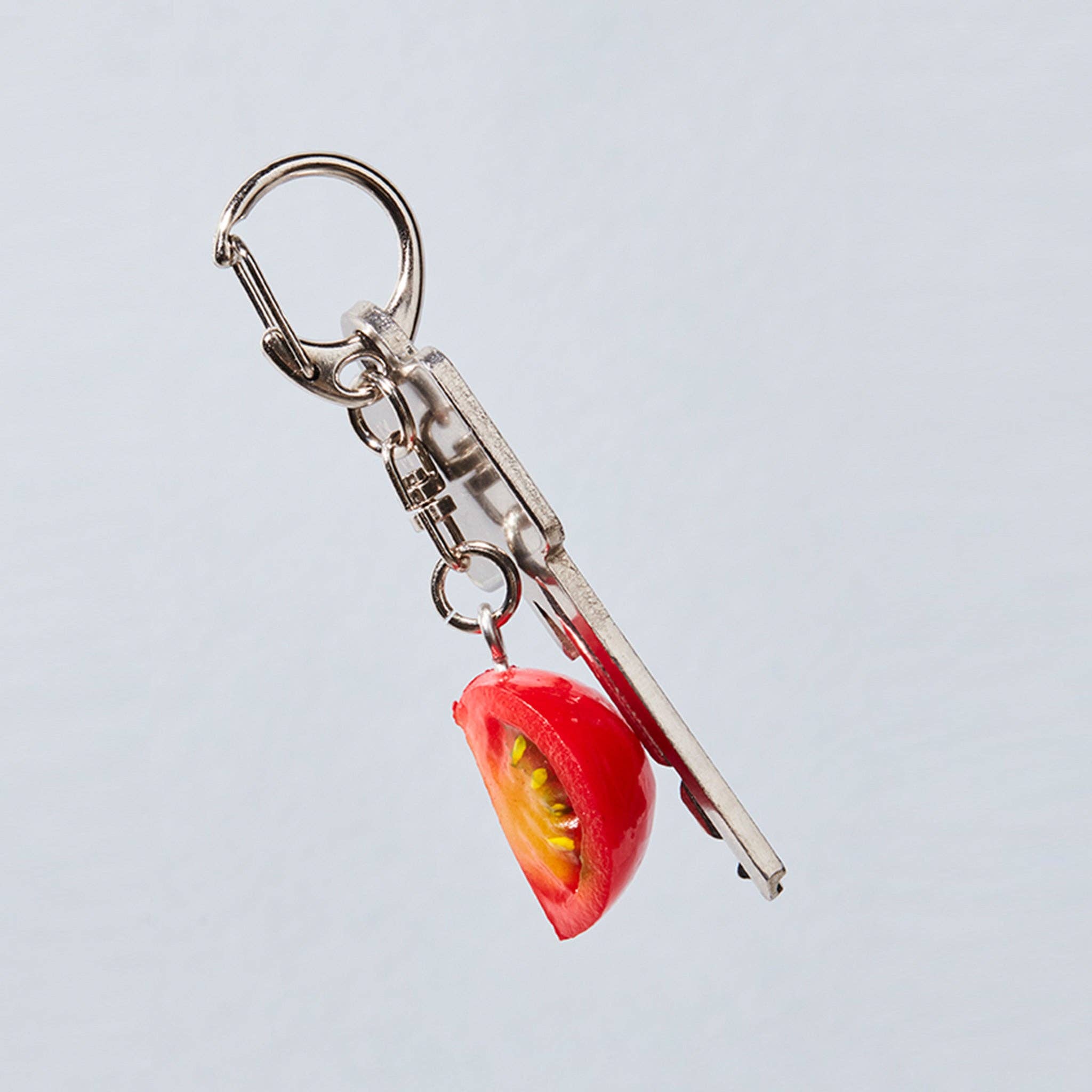 oishy - Wholesale Keychain - Unisex - Toshy Tomato1