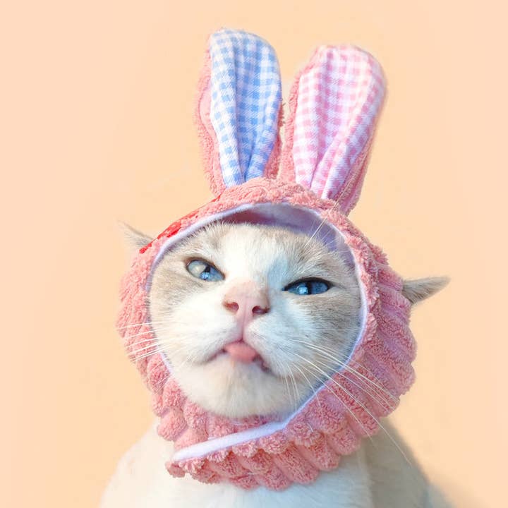 Cheerhunting - Wholesale Pet Hat - Dog - Ozzie - Bunny Pet Decorative Hat