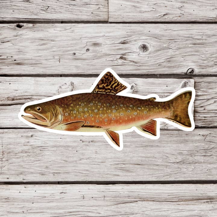 Brook Trout Sticker, Trout Sticker, Fish Sticker for wholesale by NatureCuts