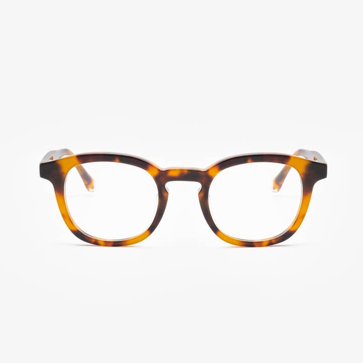 Bellucci Midbrown Geformuleerd voor wholesale door Sajú