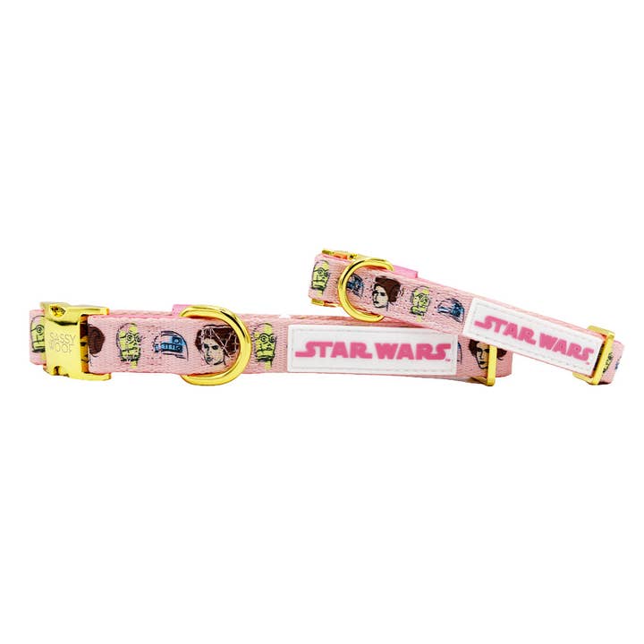 Dog Collar - STAR WARS™ Princess Leia for wholesale by SASSY WOOF