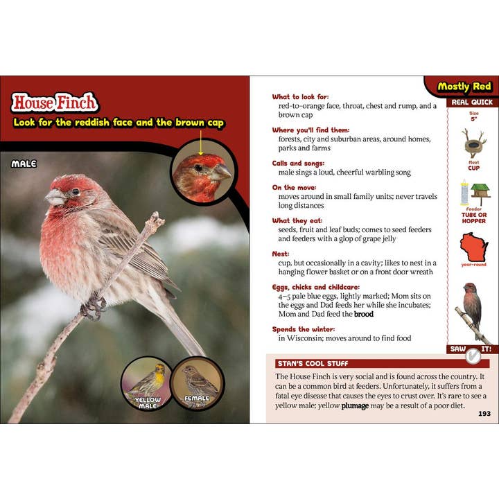AdventureKEEN - Wholesale Book - Kids - Kids' Guide to Birds of Wisconsin