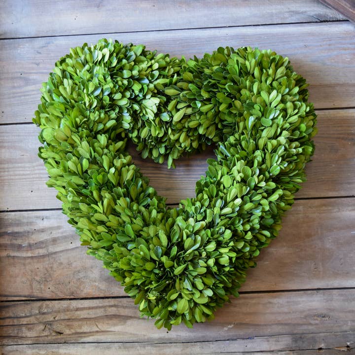 Mills Floral Company – wholesale Wreath – Preserved Boxwood Heart Wreath - 16 Inch