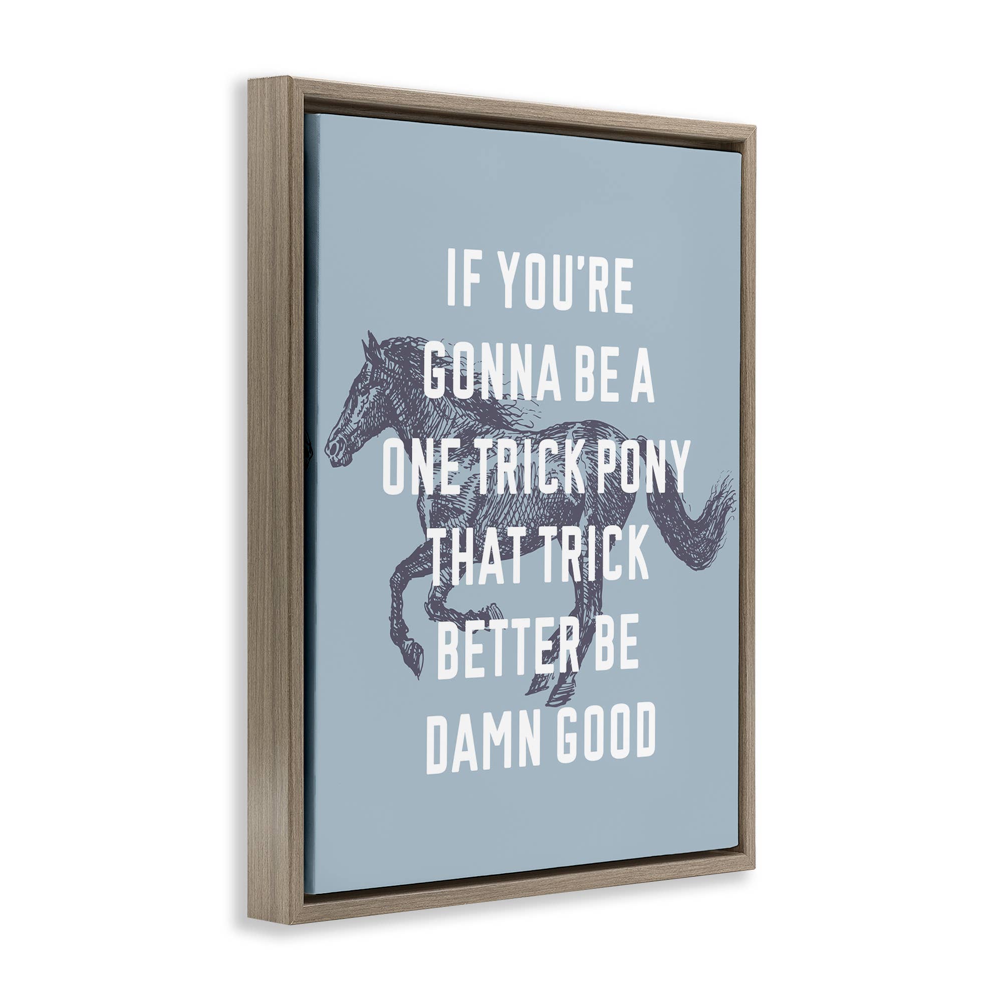 Stupell Industries - Wholesale Wall Decor - Kids & Baby - One Trick Pony Phrase Floater Framed Art10