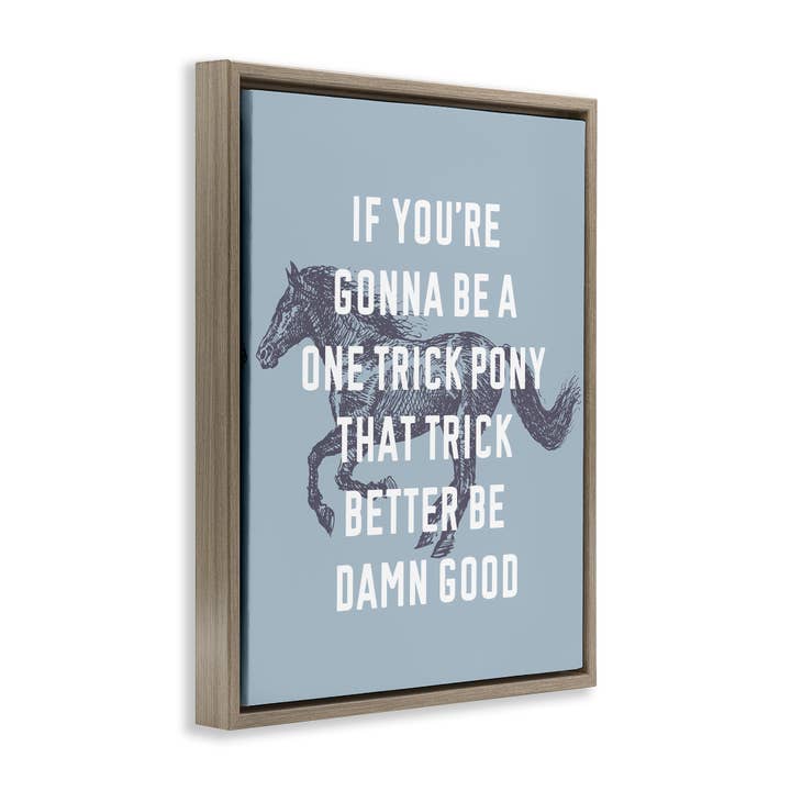 Stupell Industries – wholesale Wall decor – Kids & Baby – One Trick Pony Phrase Floater Framed Art10