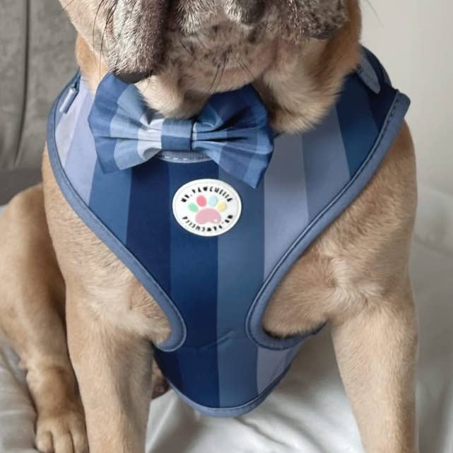 Réglable - Shades of Navy pour la vente par My Pawchella