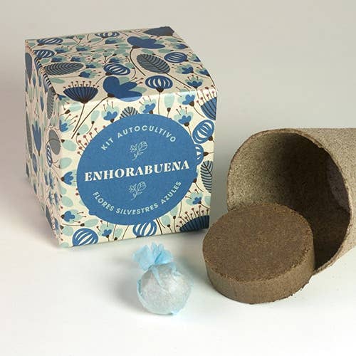 Resetea - Wholesale Plant Seeds - Say it with flowers "Congratulations" 💐5