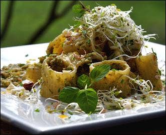 Sughi del Principe artigiani del gusto – Pesto por atacado – Pesto de Alcachofra e Amêndoas1