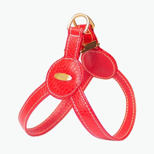 Harnais Devon - ROUGE, moyen pour la vente par Clementine est dogs