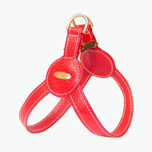 Devon sele - RÖD, stor för wholesale av Clementine est dogs