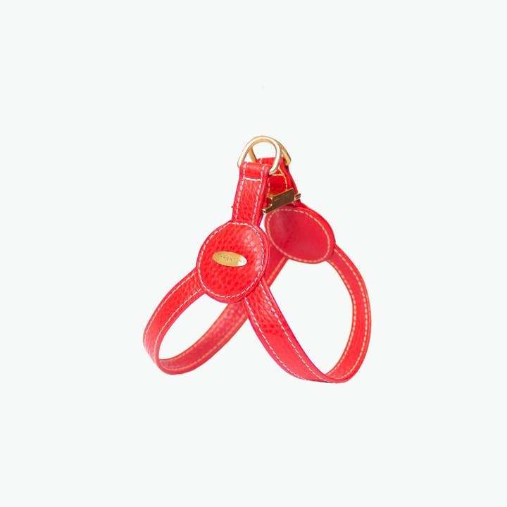 Devon Harness - ROOD, klein voor wholesale door Clementine est dogs
