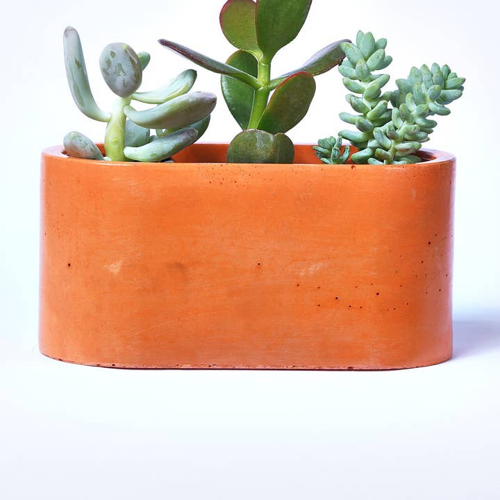 Mini jardinière - Béton Orange pour la vente par Junny