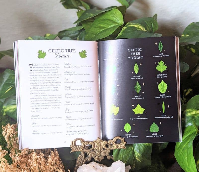 Goddess Provisions - Venta al por mayor Libro de cuerpo, mente y espíritu - Libro de Magia de la Tierra - Conéctate con la Magia2