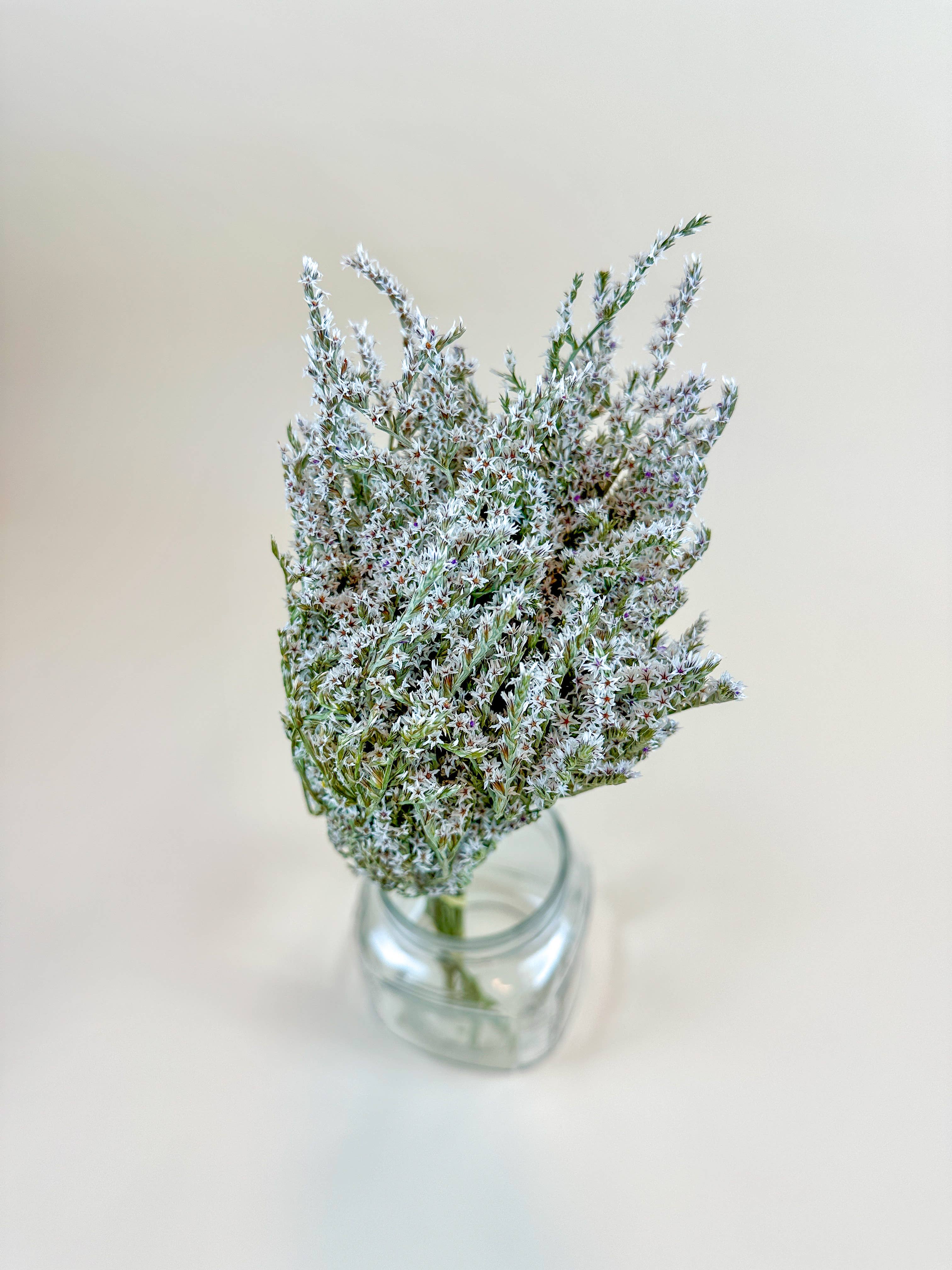 Lovejoy Farms Premium Dried Flowers - Wholesale Dried/Pressed Flowers - German Statice (3 lb case) - Naturally Dried Flowers