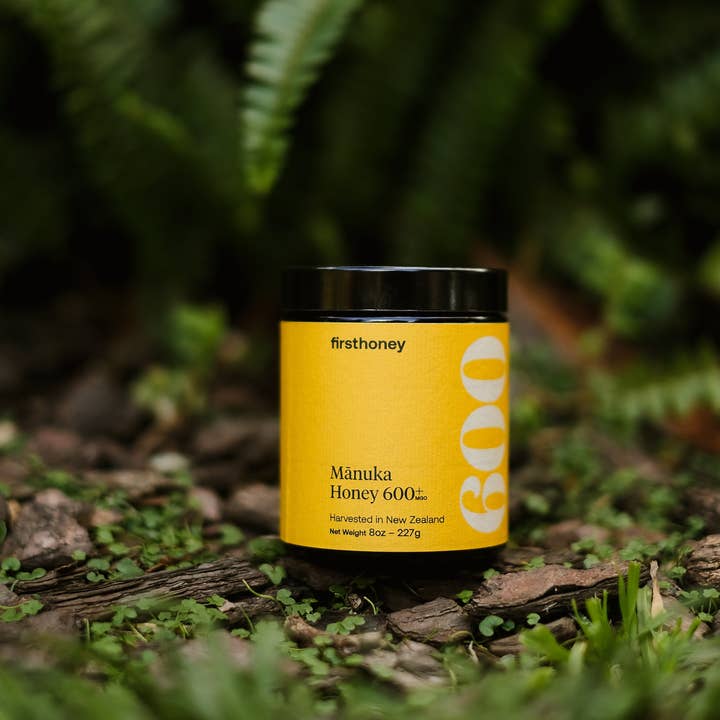 First Honey - Wholesale Honey - Manuka Honey 600+ MGO (8oz)1
