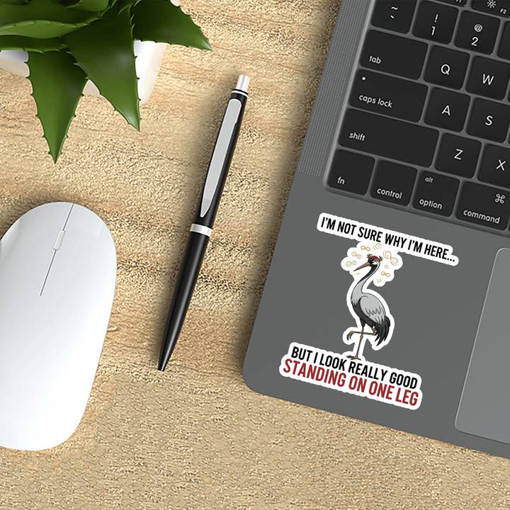 Sticker Atlas - Wholesale Sticker - I Look Good sticker3