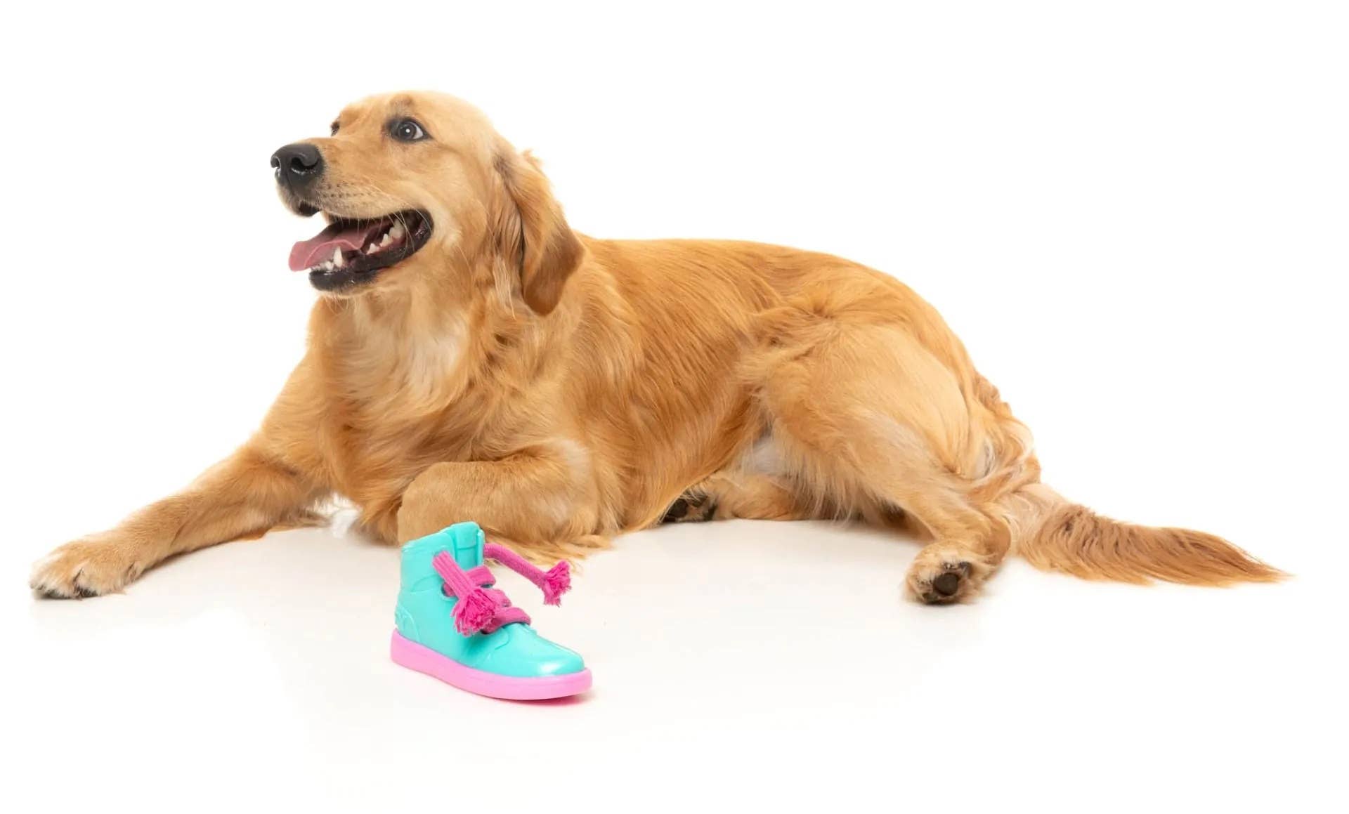 Pet Palette Distribution - Wholesale Pet Chew Toy - Dog - FuzzYard Fresh Kicks N' Licks Dog Chew Toy7