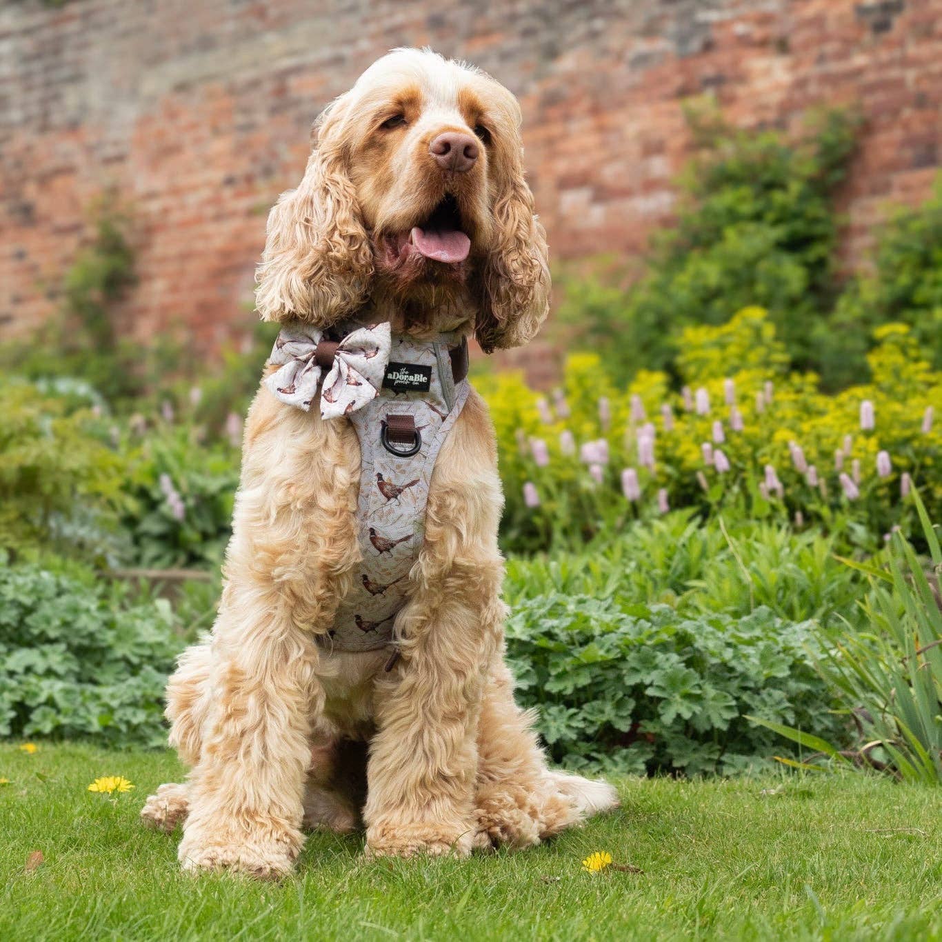 The aDoraBle Pooch Company – wholesale Pet bow tie – Dog – Dog Sailor Bow Tie - Farmland Pheasant14