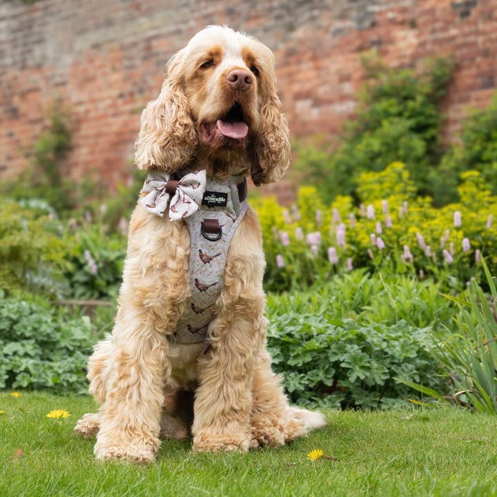The aDoraBle Pooch Company – wholesale Pet bow tie – Dog – Dog Sailor Bow Tie - Farmland Pheasant14