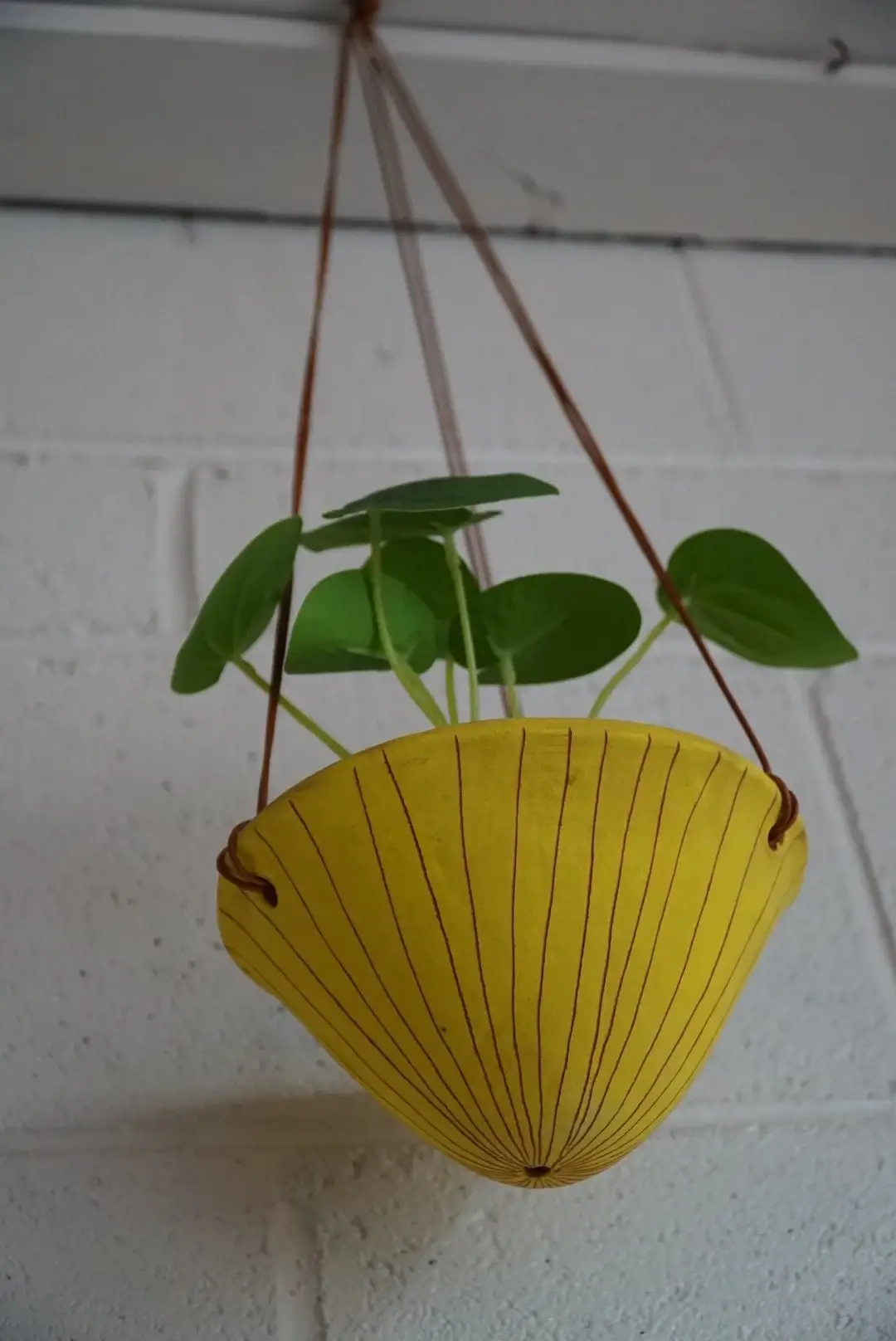 Half Light Honey - Wholesale Hanging Planter - Vertical Line Hanging Planter in Yellow and Terracotta1