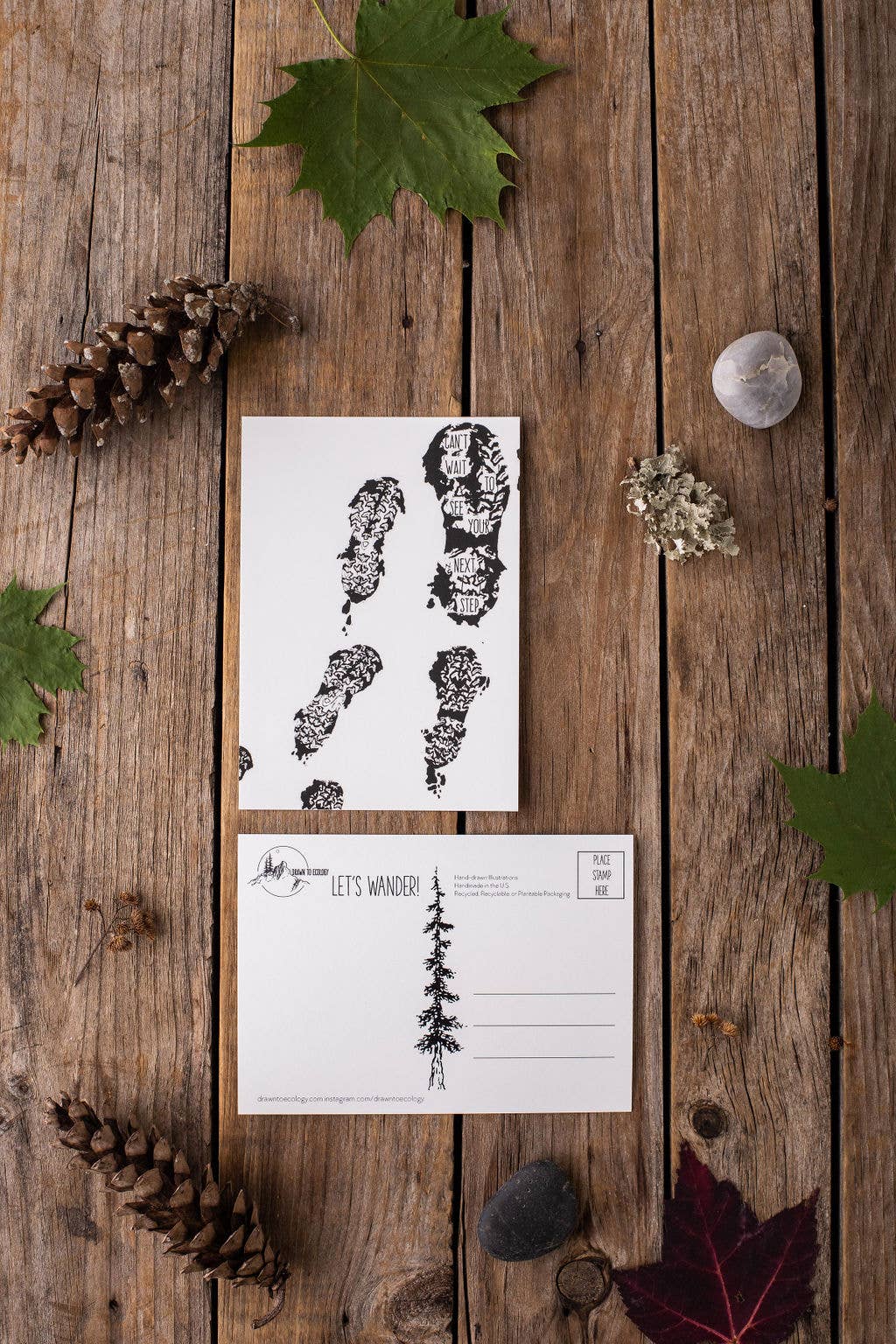 Drawn to Ecology - Wholesale Postcard - Next Steps Postcard0