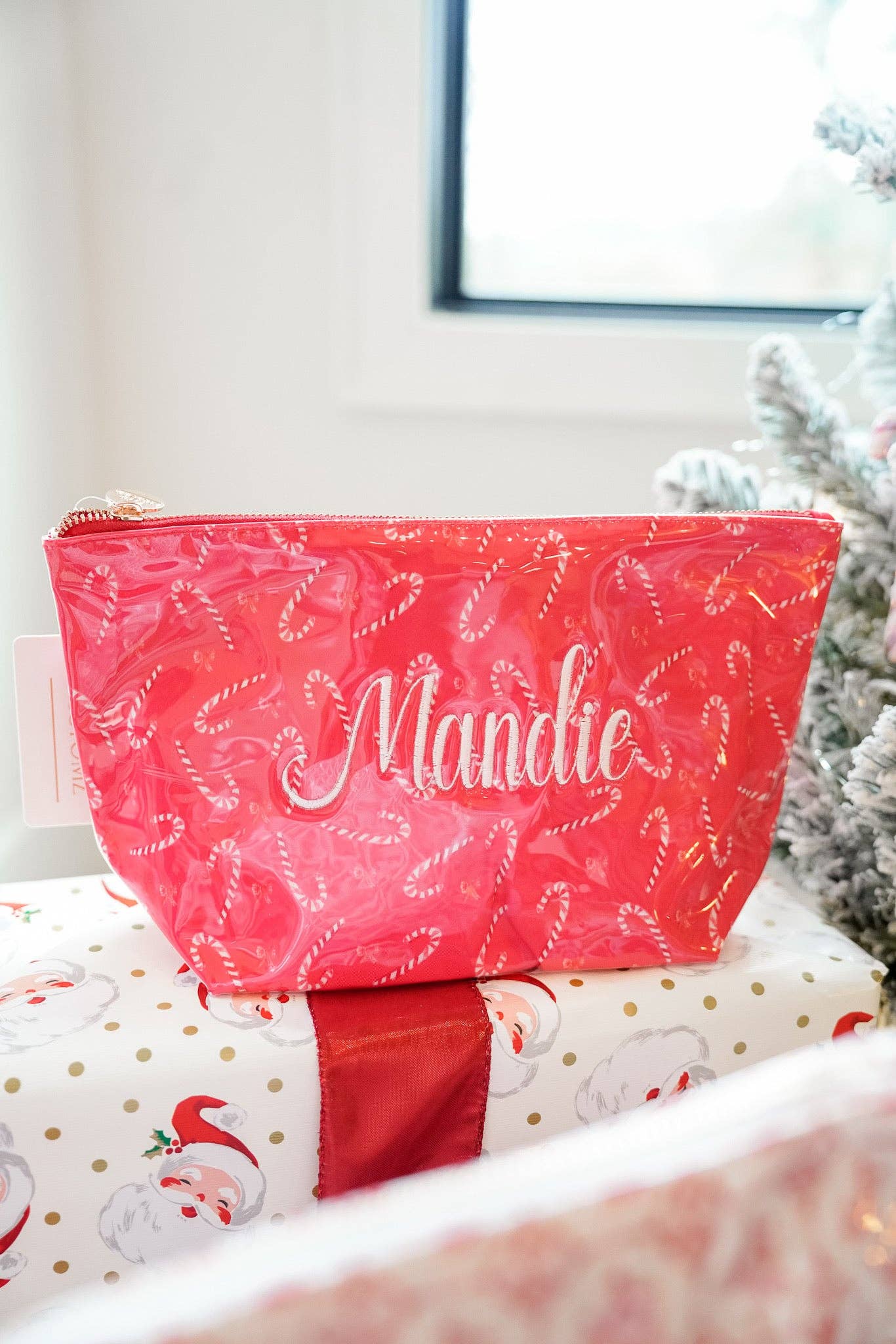 KENZKUSTOMZ - Wholesale Makeup/Cosmetic Bag - Clear Coat Bag26