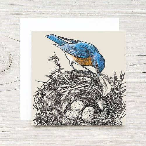 Brook Isle - Wholesale Everyday Greeting Card - Bluebird Gift Card