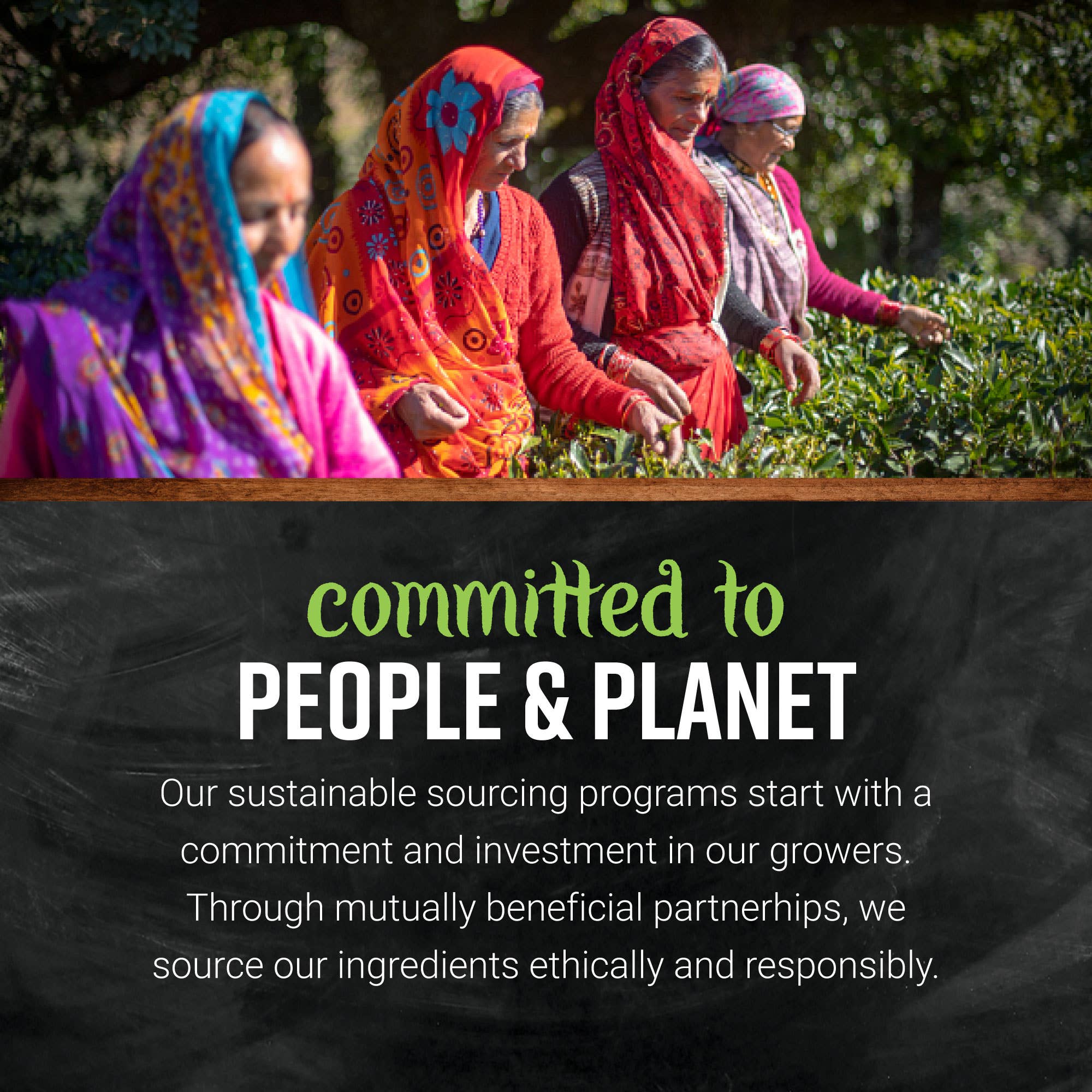 Frontier Co-op - Wholesale Dried Spice Mix - Organic Pumpkin Pie Spice - Cinnamon, Ginger, Cloves, Nutmeg11