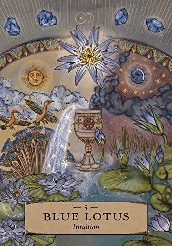 Cardshouse - Wholesale Tarot Cards - Herbal Astrology Oracle Cards Hay House5
