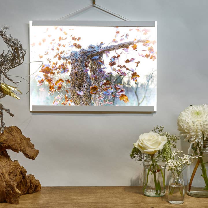 Impressão fotográfica de 'Beyond Ithaka 2' por atacado de Fantasywire