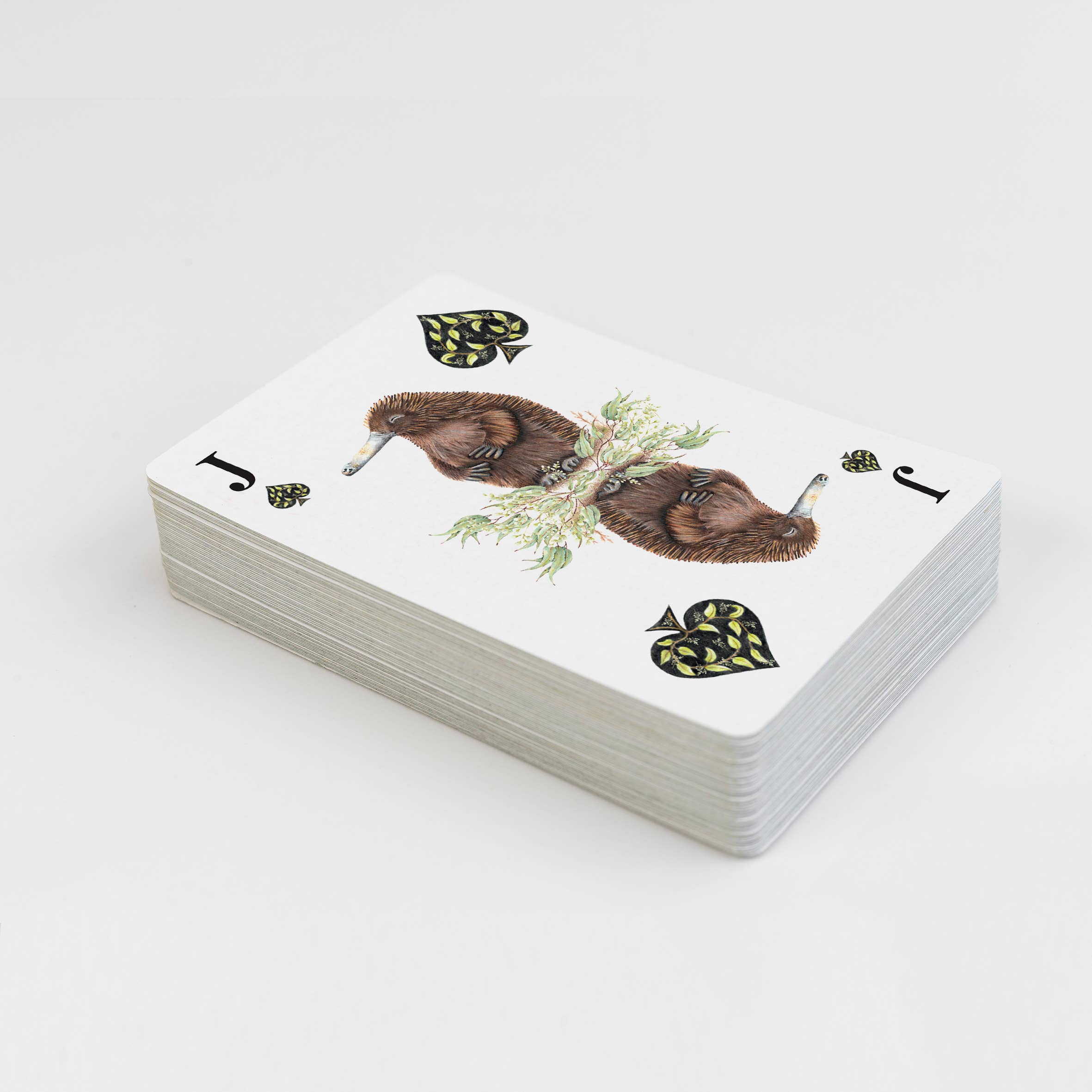 Popcorn Blue - Wholesale Learning cards – Child & baby - 1 Deck of Australian Animal Playing Cards1