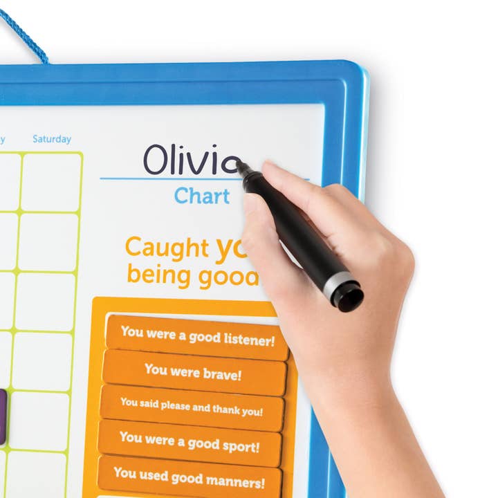 Good Job Reward Chart for wholesale by Learning Resources