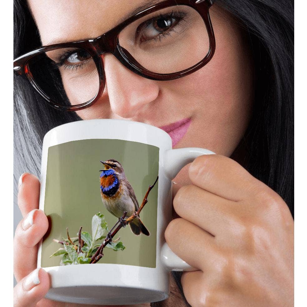 3dRose - Wholesale Coffee Mug - 3dRose, Bluethroat Male, Territory Song, Mug9