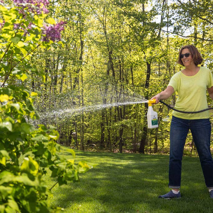 YAYA Organics - Vente Insectifuges - Spray pour jardin extérieur YAYA Tick + Mosquito, prêt à l'emploi10