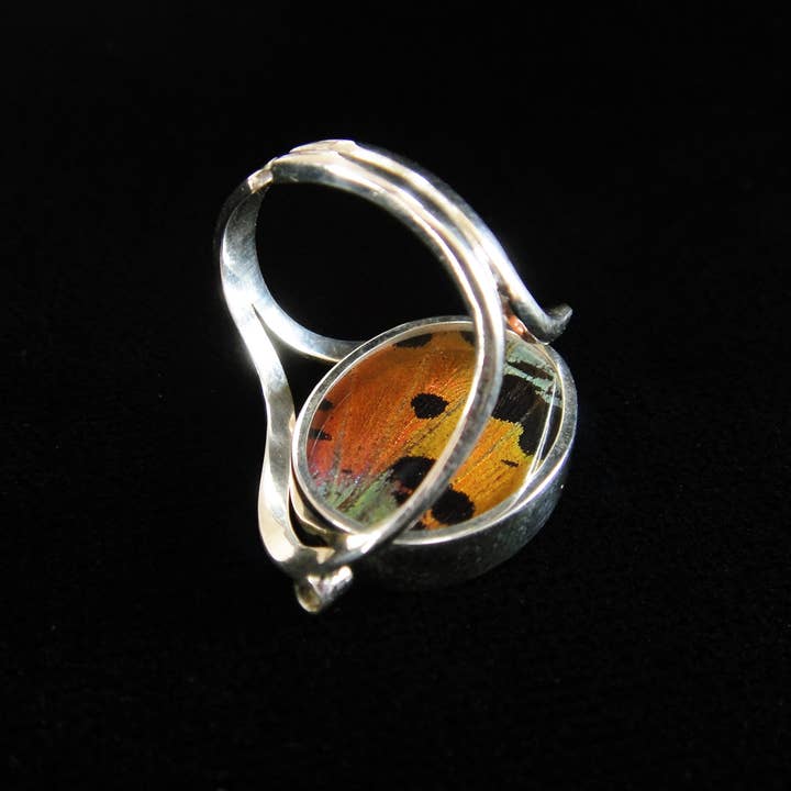 Tika - Wholesale Cocktail/Statement Ring - Reversible Blue Morpho/Sunset Oval Ring (adjustable)