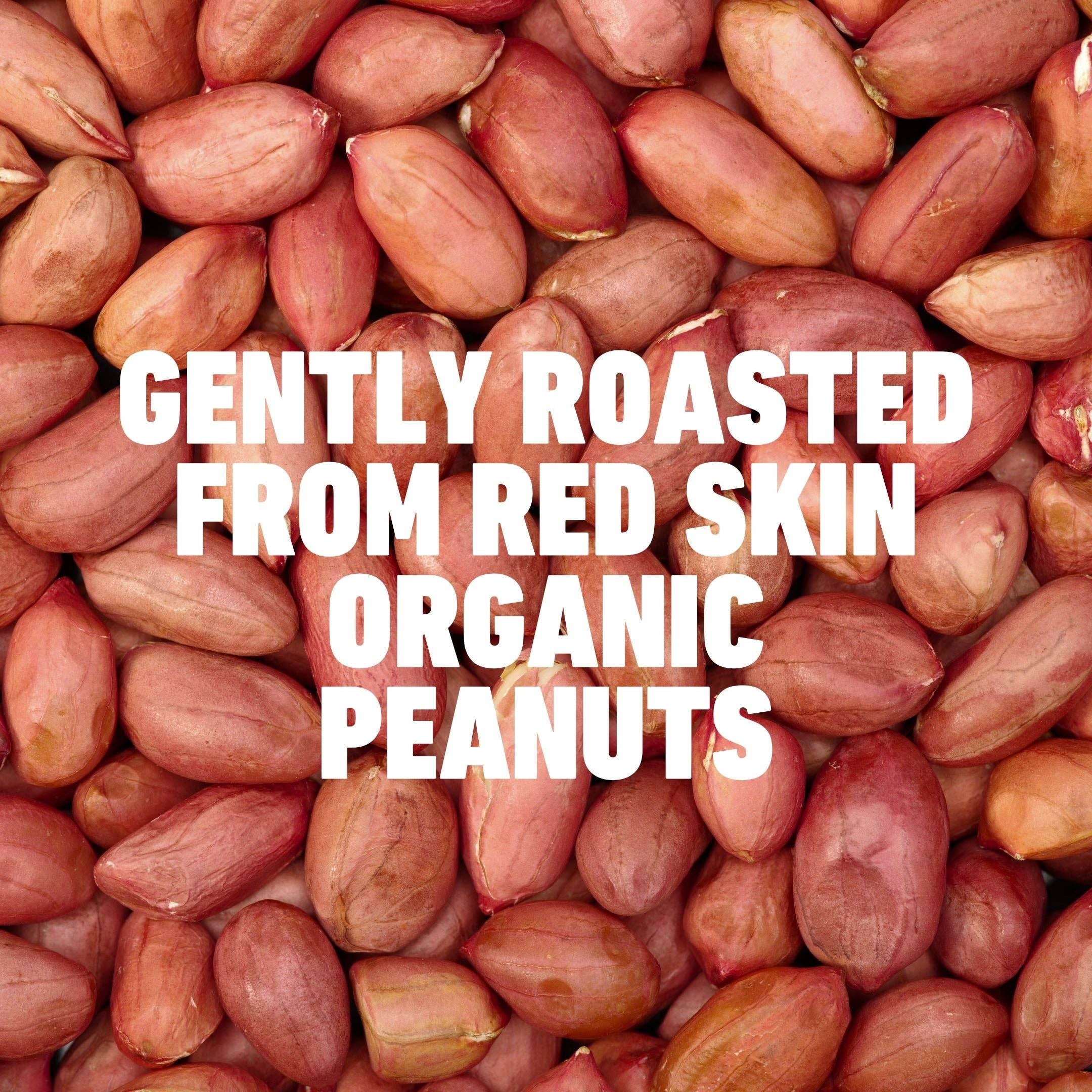 Sun & Seed – wholesale Nut butter – Organic Smooth Peanut Butter 500g3