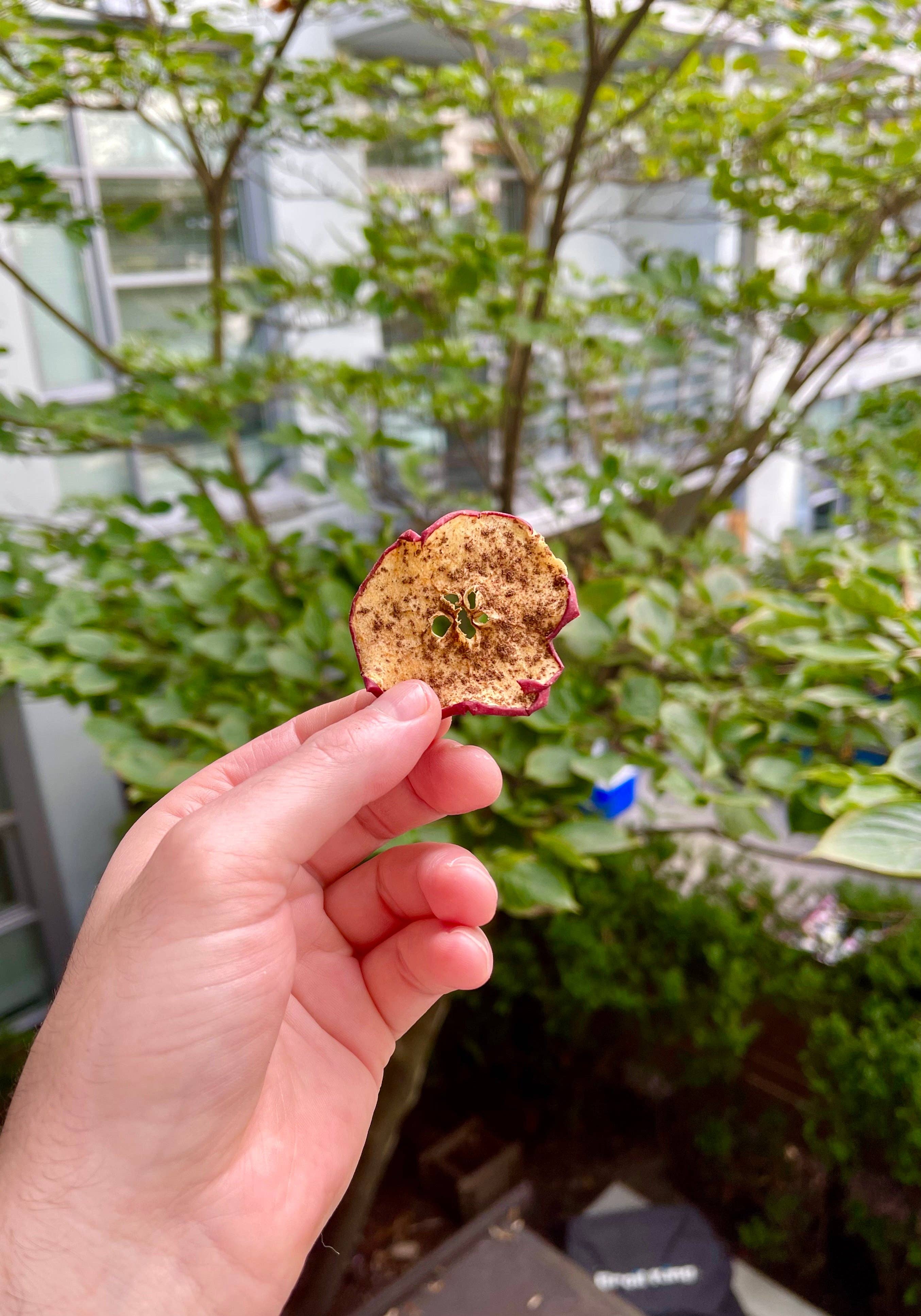 David Blake Cocktails - Wholesale Dried/Dehydrated Fruit - 75+ Piece Large Spiced Apple Bag1