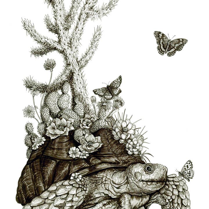 Megan Gray Art - Wholesale Sticker - Desert Tortoise & Cactus Sticker 1