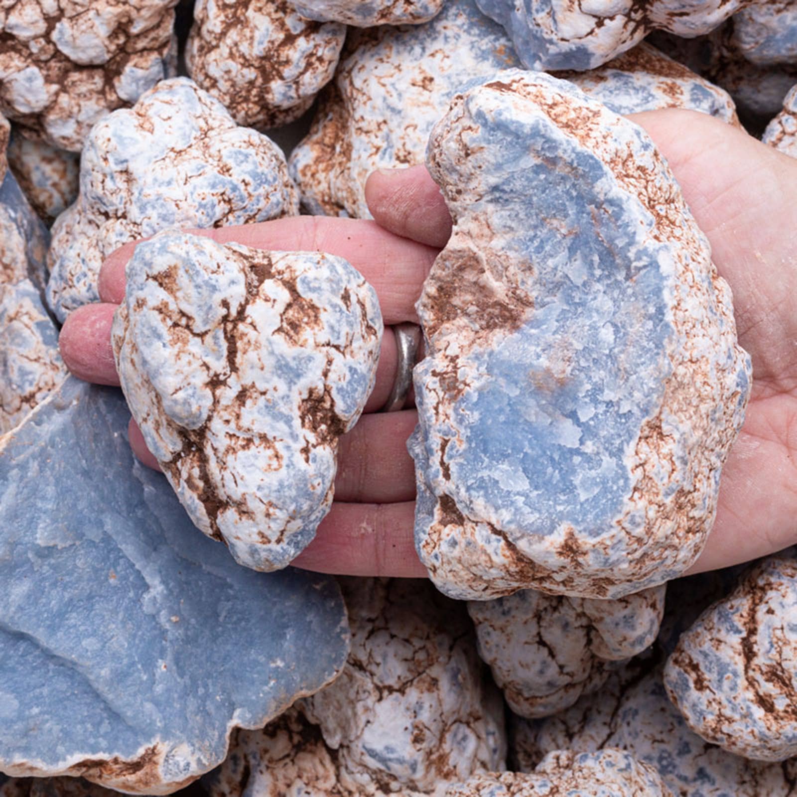 Fantasia Mining - Wholesale Spiritual Stone/Crystal - Rough Angelite - Peru - Raw Natural Stones (1 lb)1