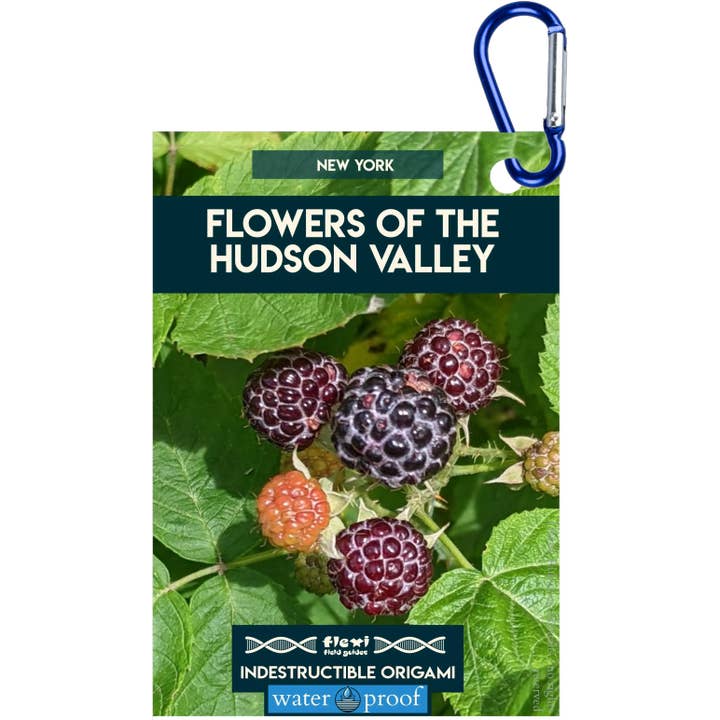 Flores del Valle del Hudson-Origami Indestructible para venta al por mayor de Flexi Field Guides