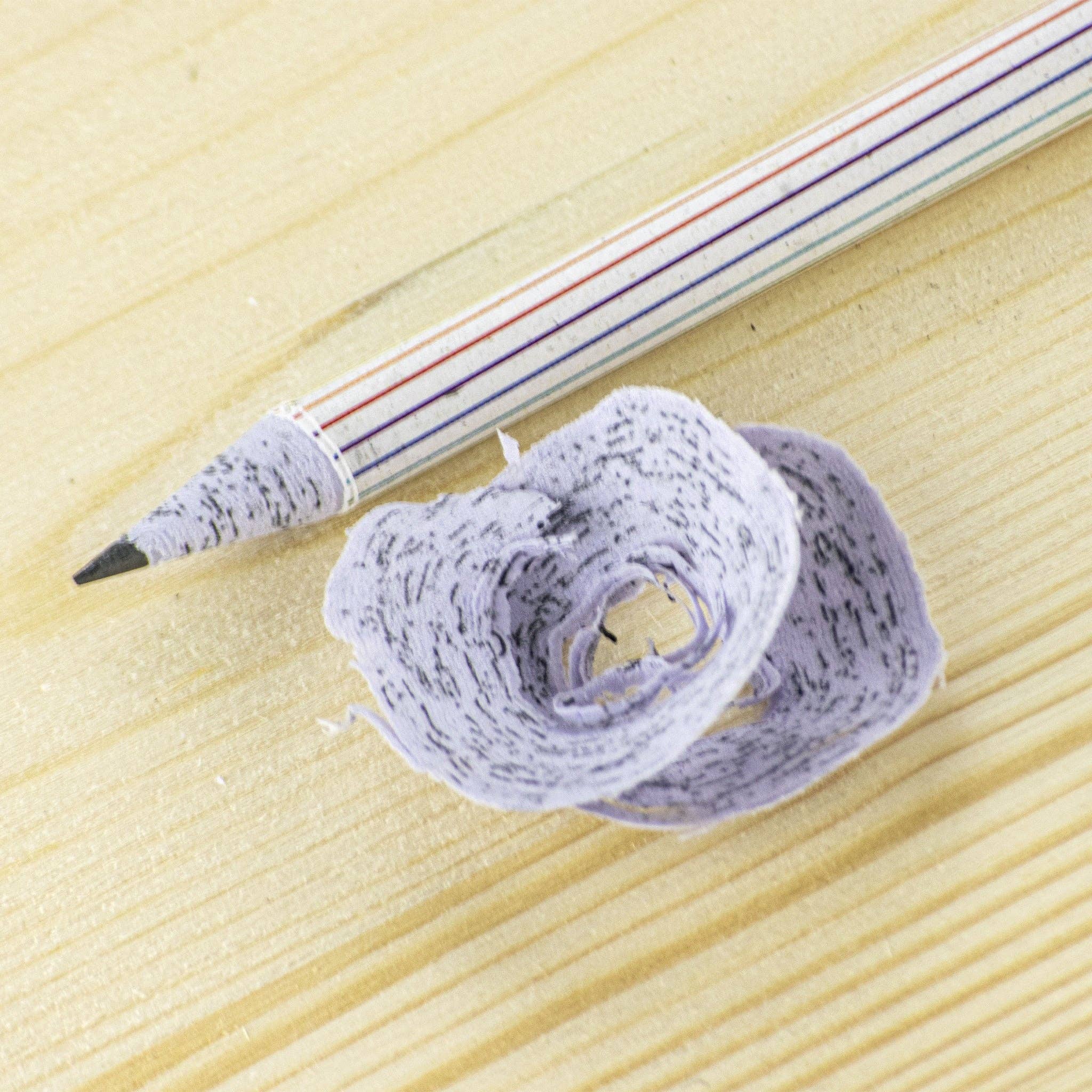 Rippotai - Wholesale Pencil - Semi-paper pencil, write, temper and sow!4