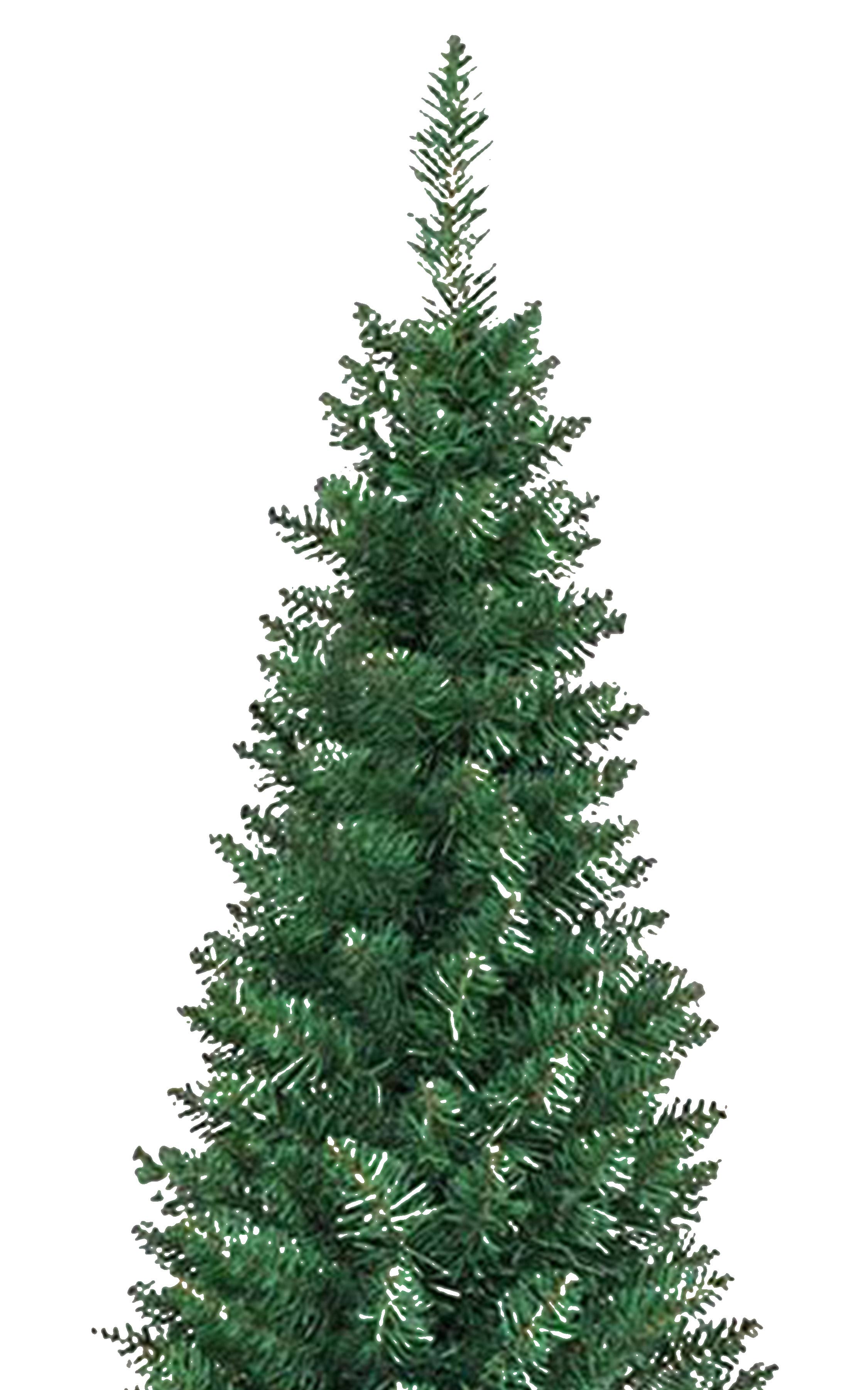 Perfect Holiday - Vendita all'ingrosso Alberi di Natale finti - Albero di Natale a matita da 6,5 piedi Slim Abete di Tiglio Artificiale3