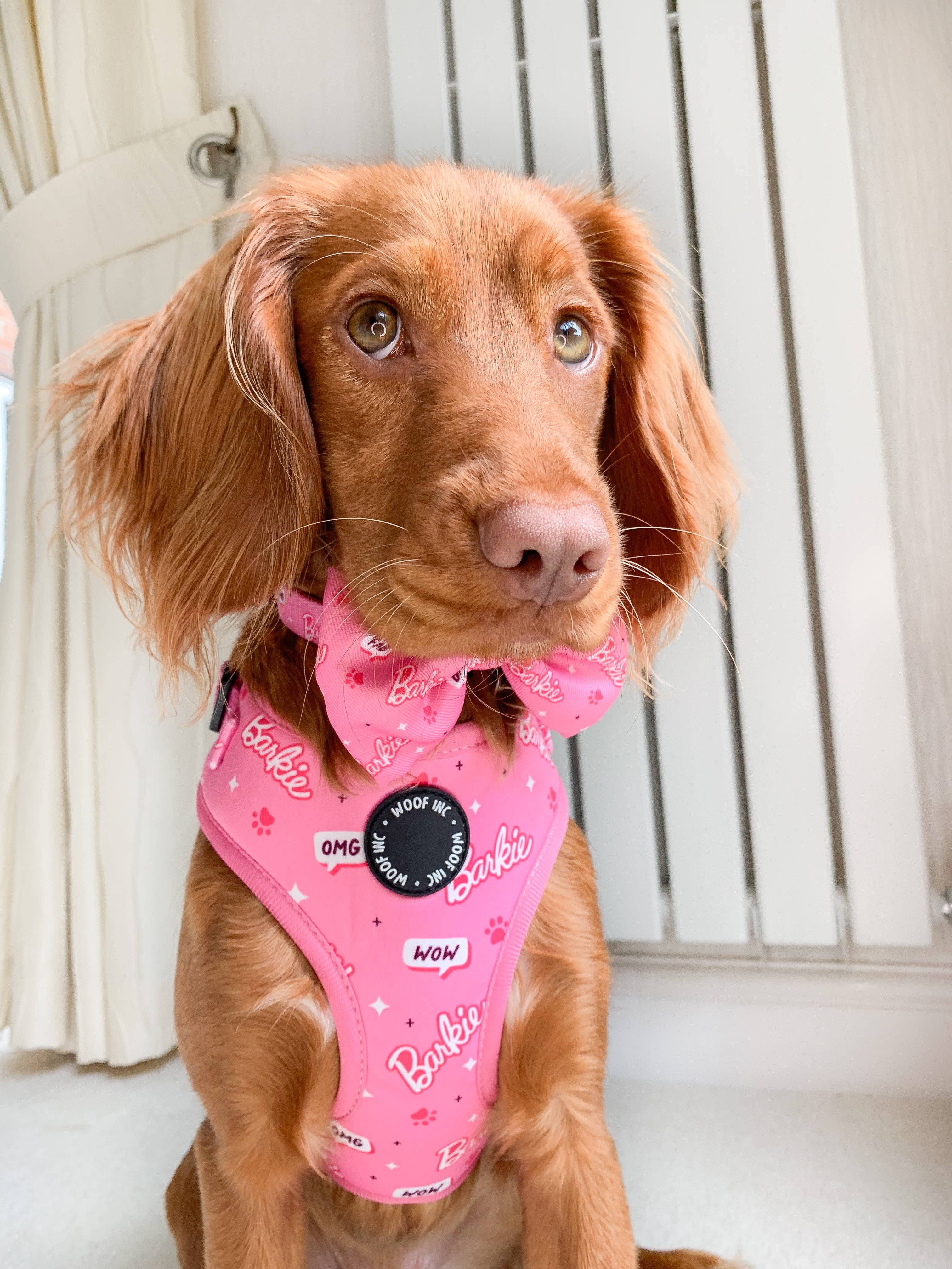 WOOF INC - Wholesale Pet Harness - Dog - Pink Barkie Dog Harness XS - L2