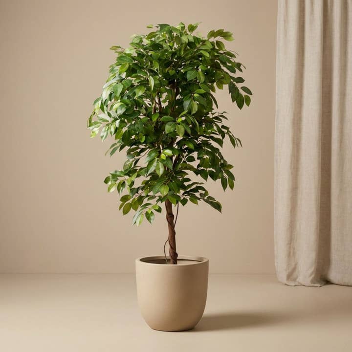 Ficus Deluxe Vintræ 140 cm - Kunstig Plante for engroshandel hos Trendhero.nl/b2b
