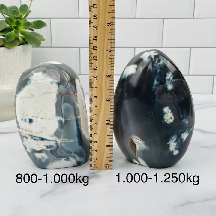 Rock Paradise - Wholesale Spiritual stone/crystal - Orca Agate Polished Crystal Cut Base - By Weight -5