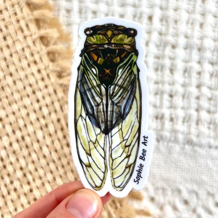 Adesivo in vinile Cicada 3x1,5" per la vendita all'ingrosso da parte di Sophie Bee Art